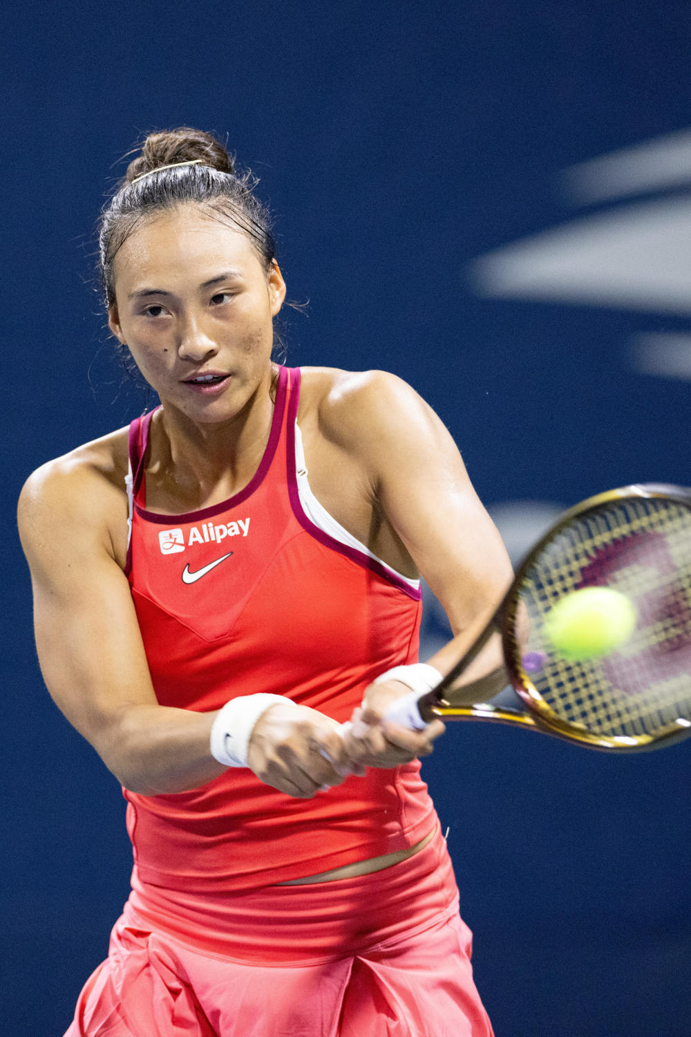 林高远在关 林高远在关